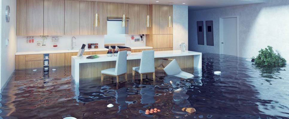 Flood Damage Restoration Services